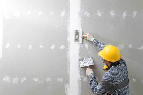 Best Biohazard Mold Removal  in Weweantic, MA