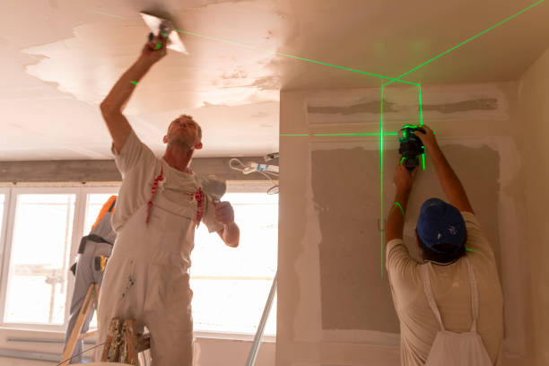 Best Mold Odor Removal Services  in Weweantic, MA
